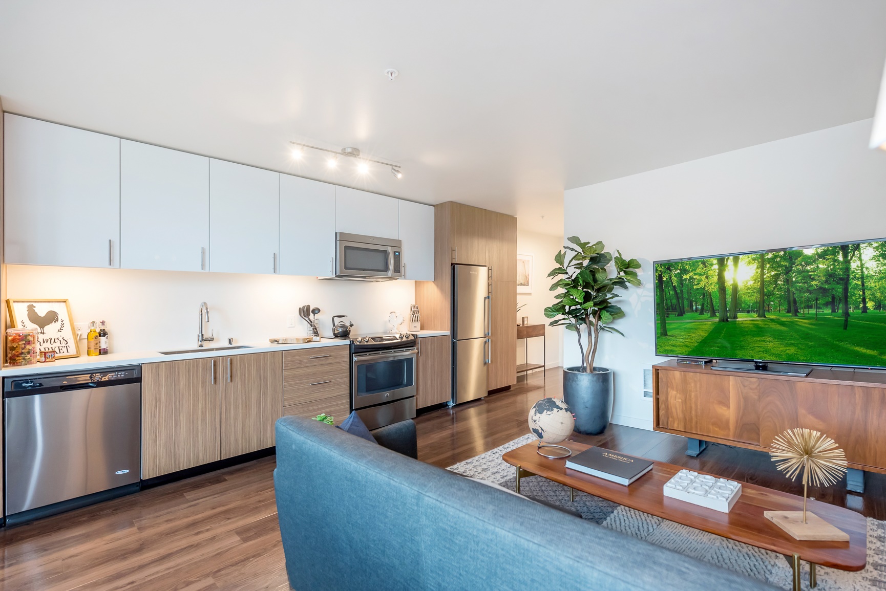 Rooster Apartments Image 21