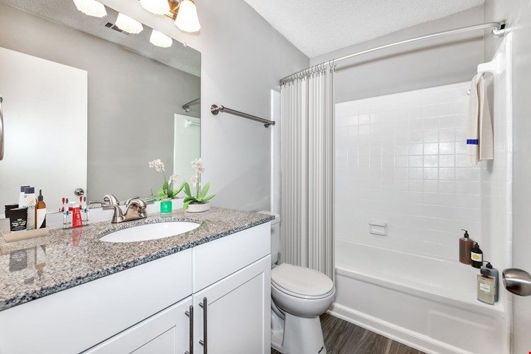 Veridian At Sandy Springs Image 13