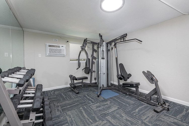 Our fitness center features all the weight training and cardio equipment you need for a full body workout.