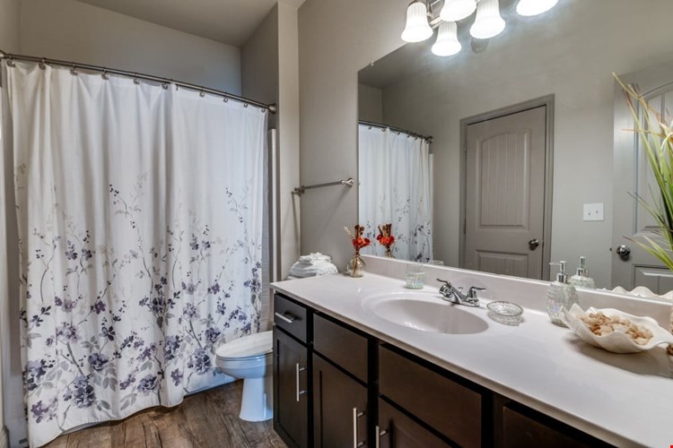 Remi Apartment Homes Image 11