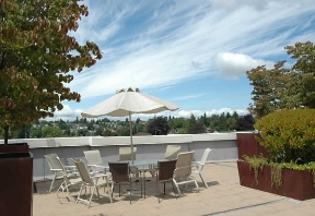 TraVigne on Eleventh Avenue Image 5