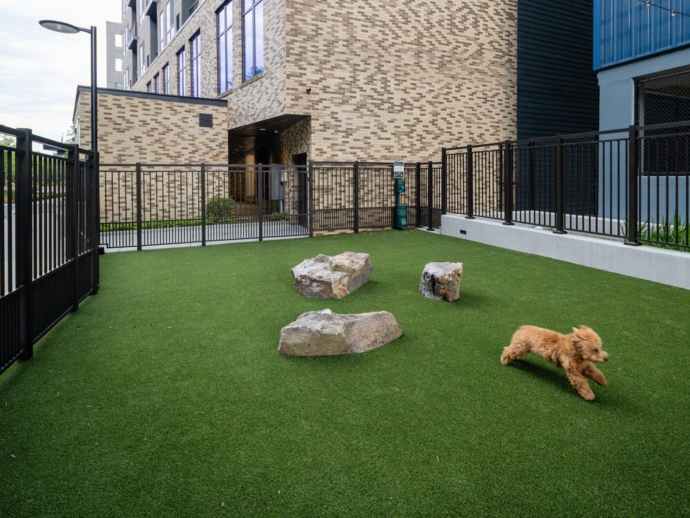 New West Phase - WAG pet park