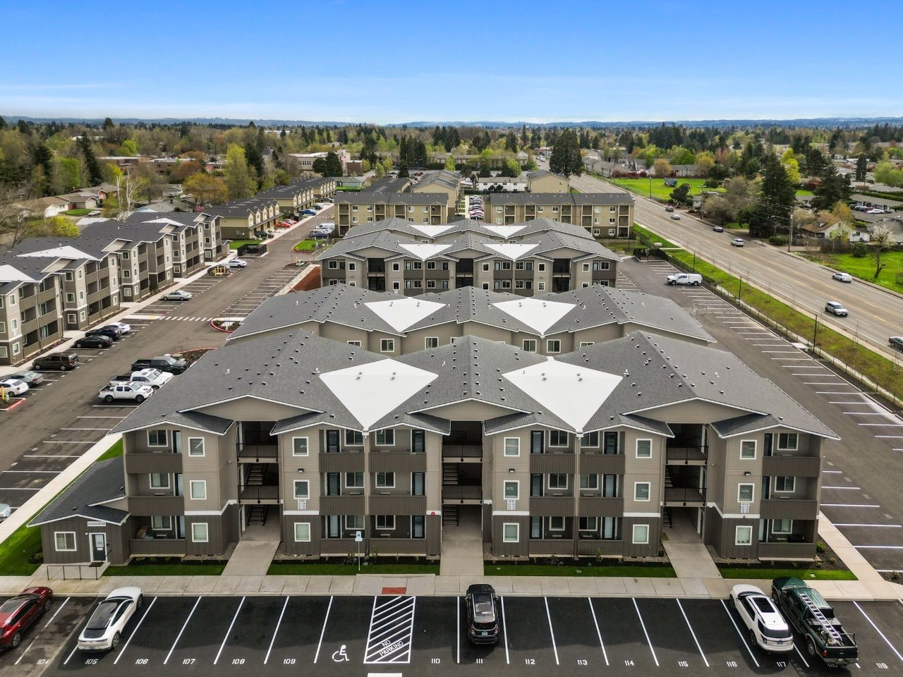Spring Woods Image 34