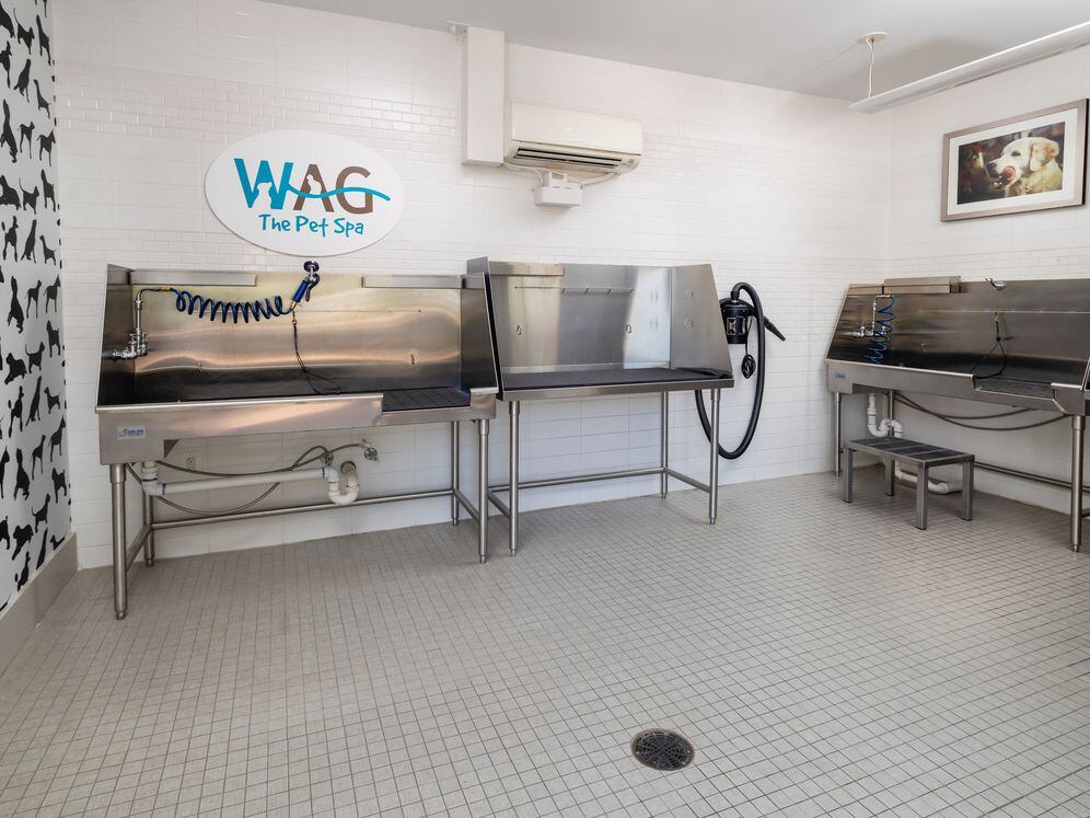 WAG pet spa