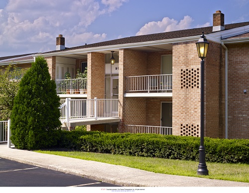 Eagle Stream Image 3