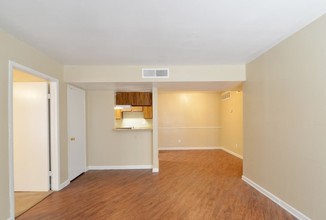 Laguna Vista Image 3