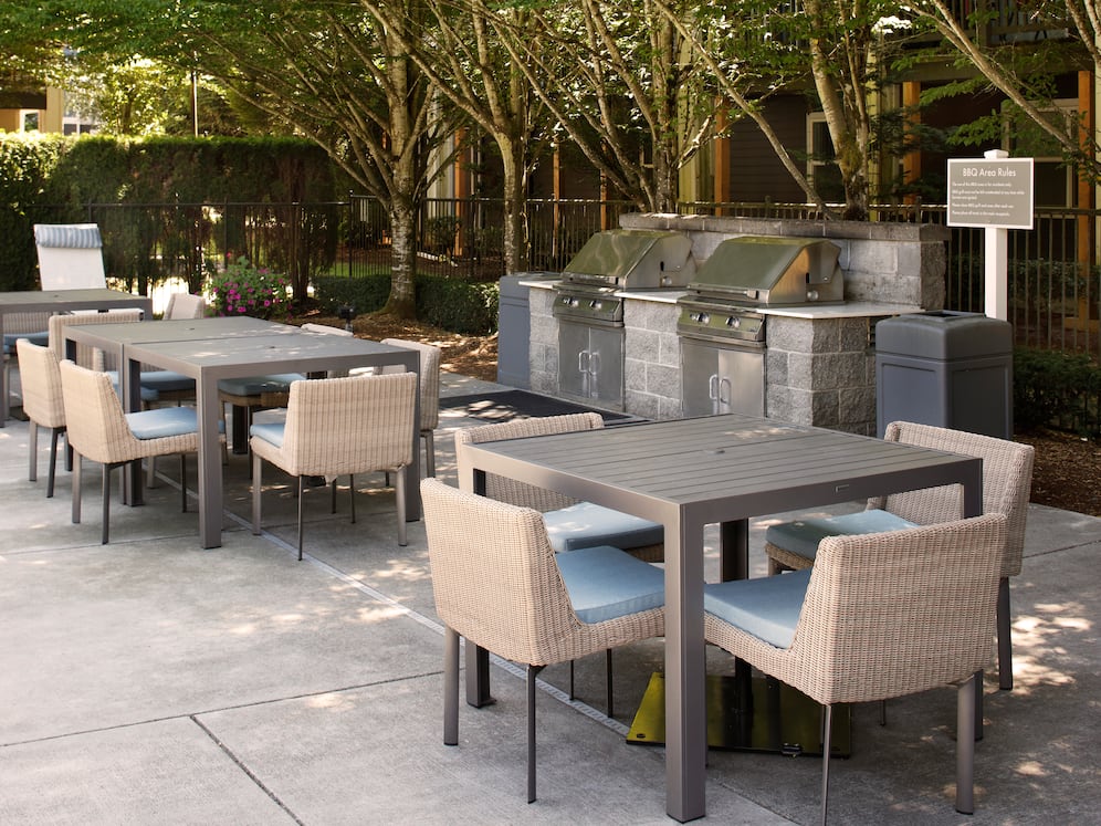 Sundeck with BBQ grills and picnic areas