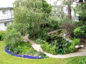 The Continental Arcadia Image 2