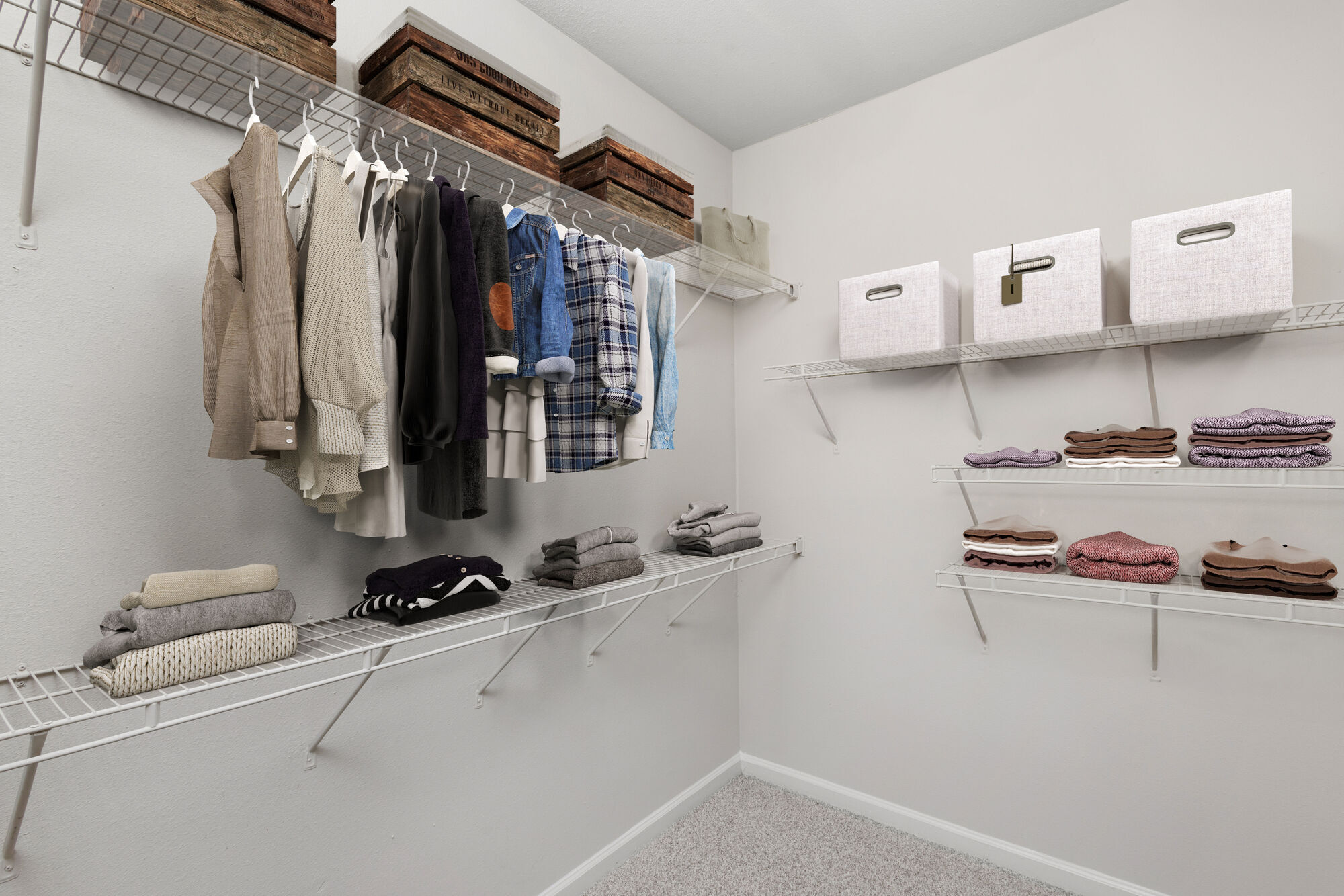 Camden Phipps Image 10