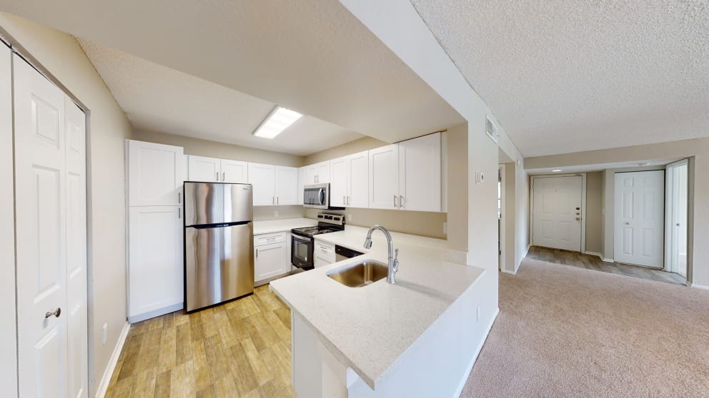 Cypress Run Image 11