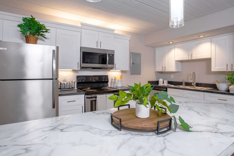 Discover sleek, stainless steel appliances and stylish cabinetry in our modern kitchens. Perfect for preparing meals with plenty of counter space.