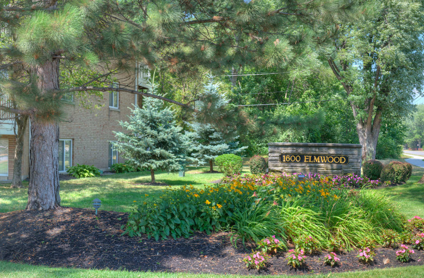 1600 Elmwood Avenue Apartments Image 3