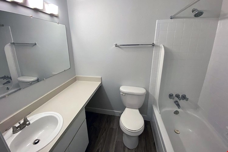 Bathrooms featuring wood-style flooring and large mirrors.