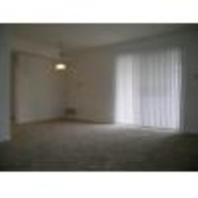 Beech Meadow Image 6