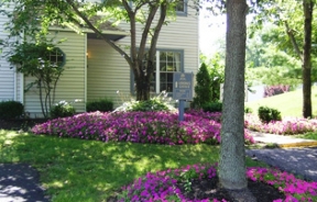 Huntingdon Woods Image 7