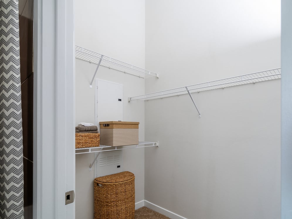Primary bedroom with walk-in closet