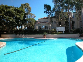 Playa Summit Luxury Apartments Image 4