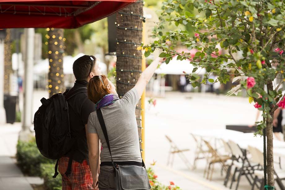 Camden Las Olas Image 53