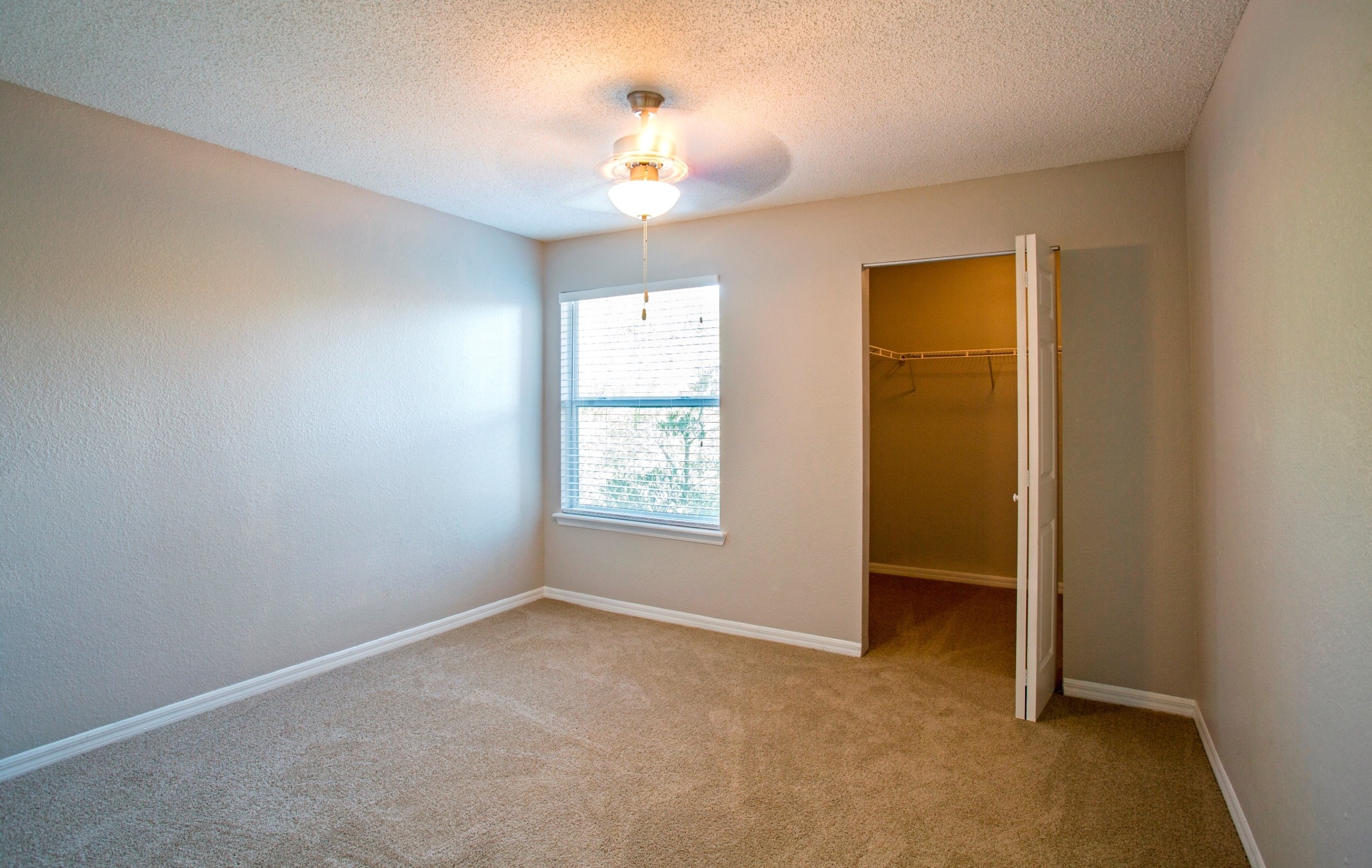 Sabal Palm at Carrollwood Image 7