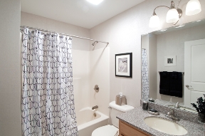 The Woods Apartments Image 11