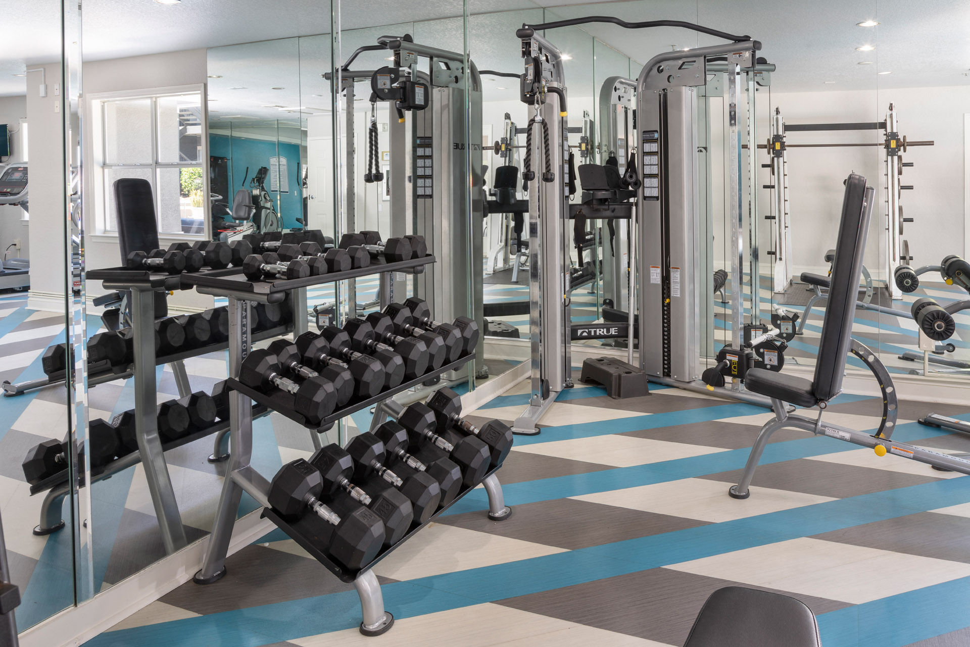 Central Park Image 7