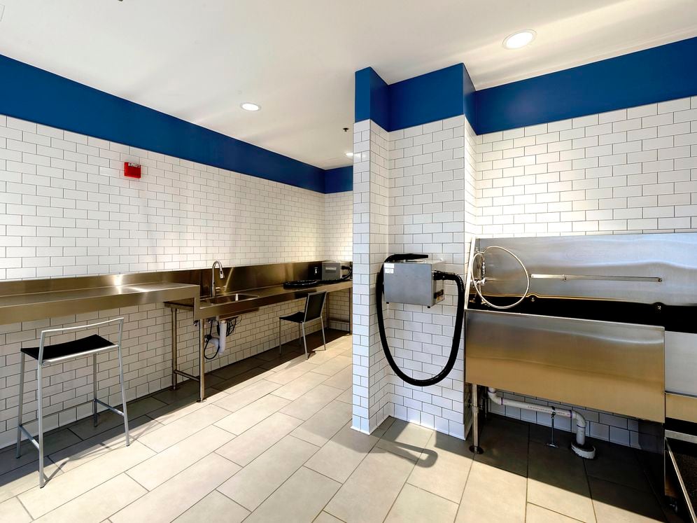 WAG pet spa with bathing area and grooming equipment