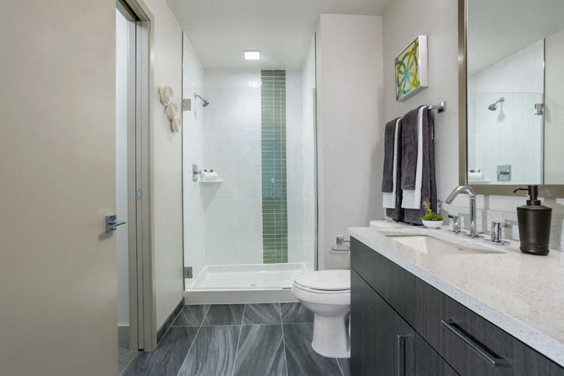 7/S Denver Haus Image 7