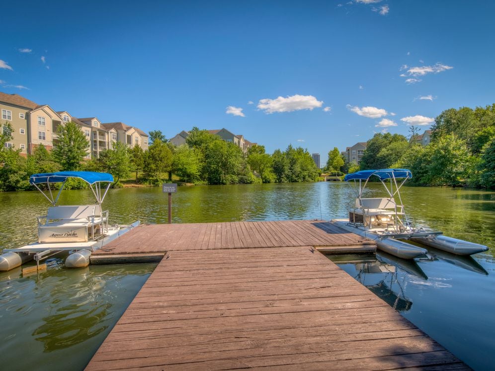 Paddle boating on wooded lake