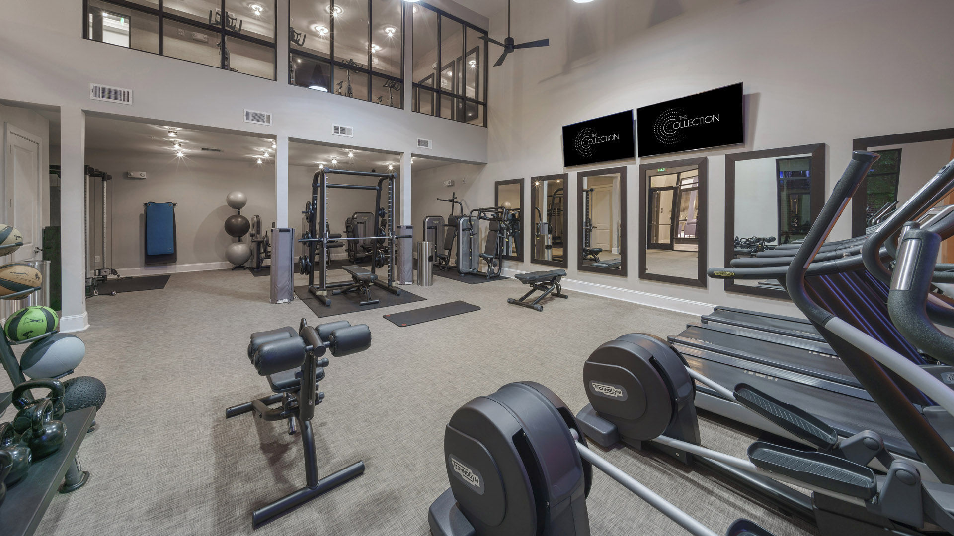 The Collection Image 48