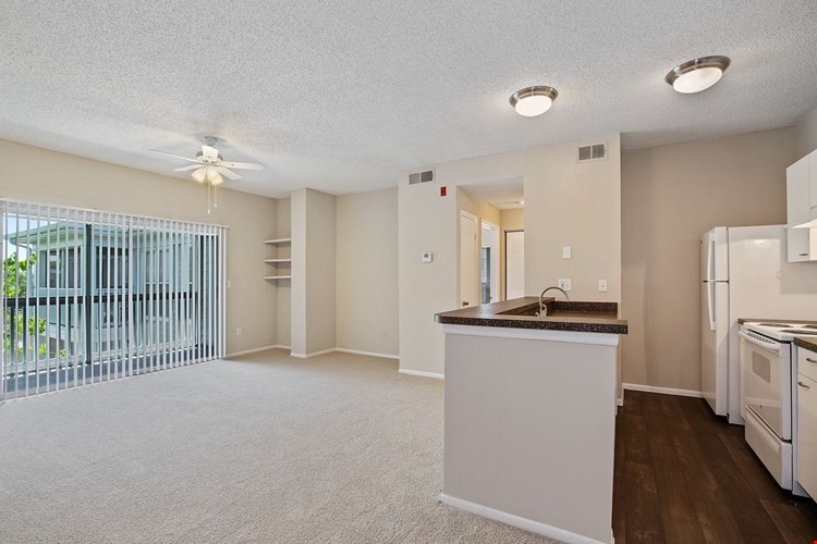 Arium Winter Park  Image 16