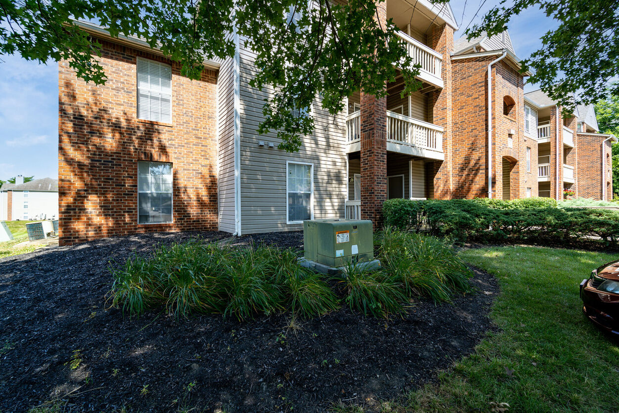 The Commons  Image 4