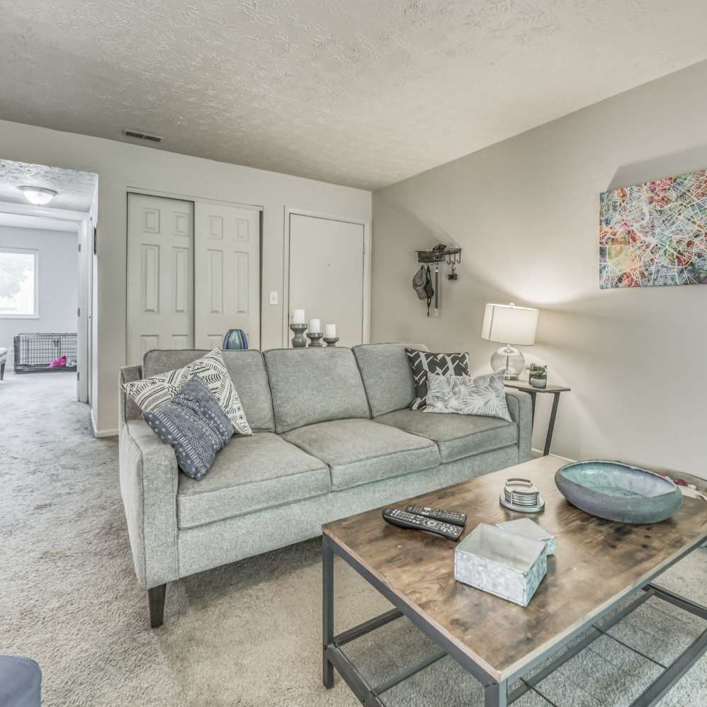 Timber Trails Image 12