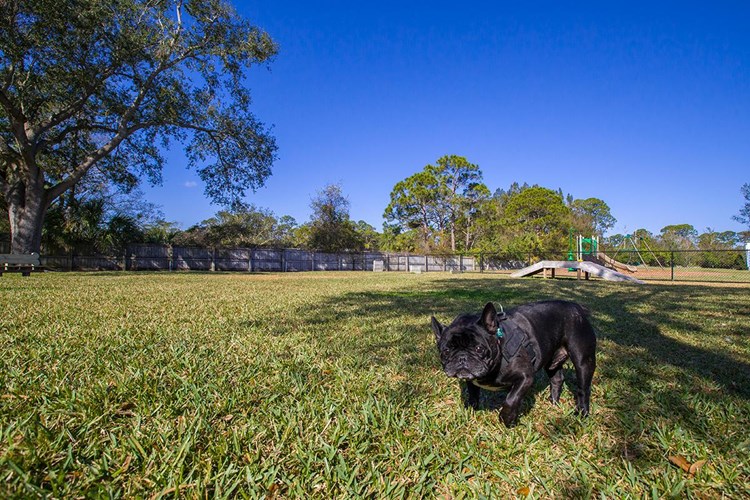 Bring your furry friend to our community dog park for some exercise.
