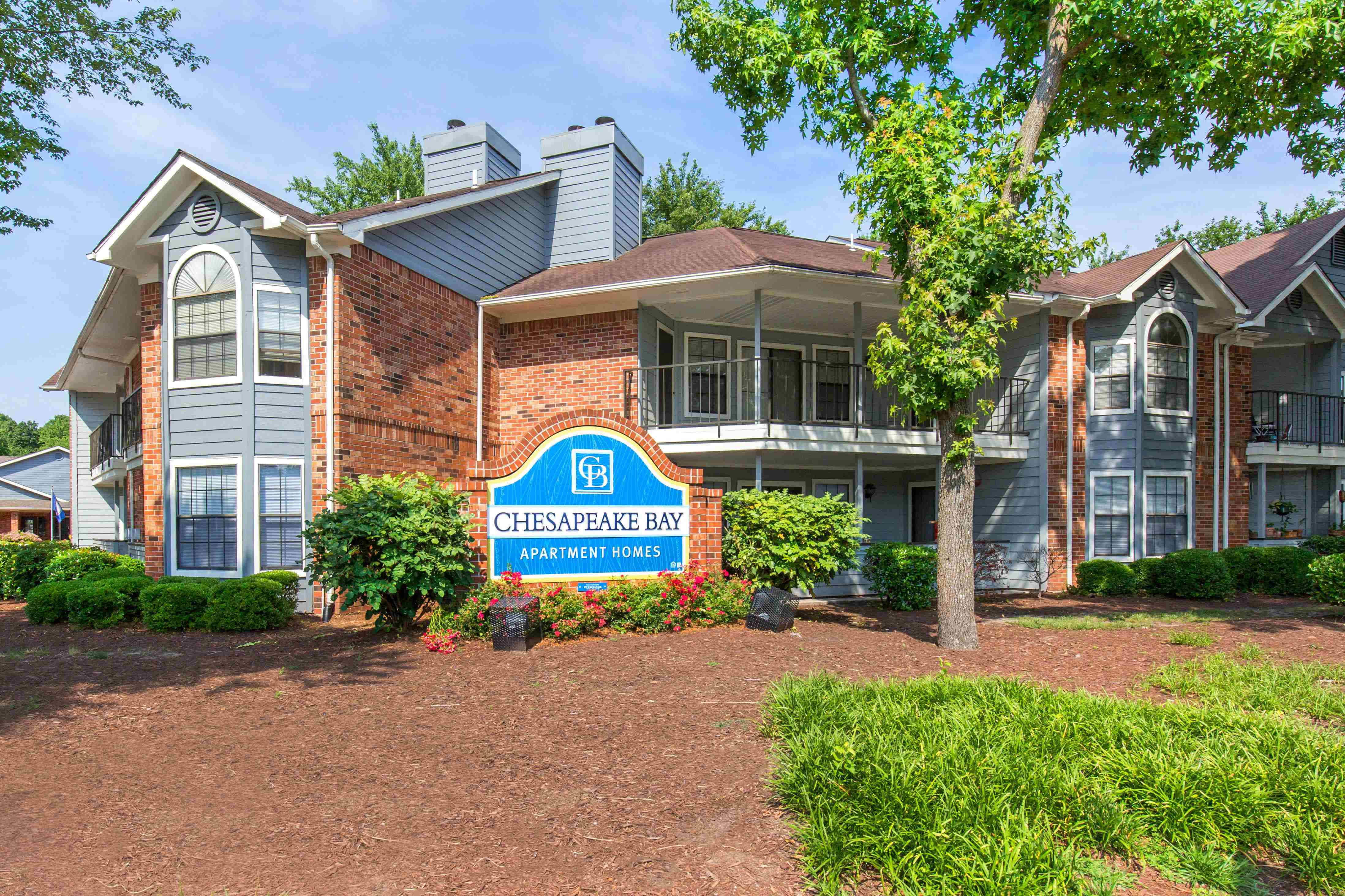 Chesapeake Bay Image 21