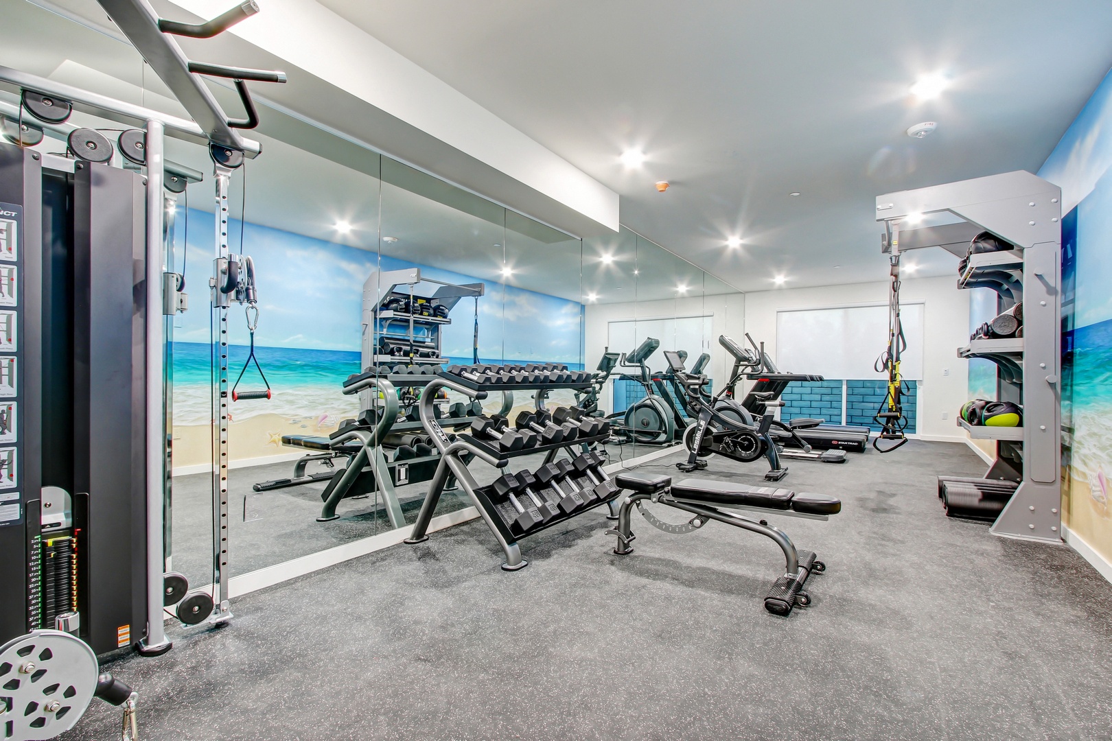 Free Weights
