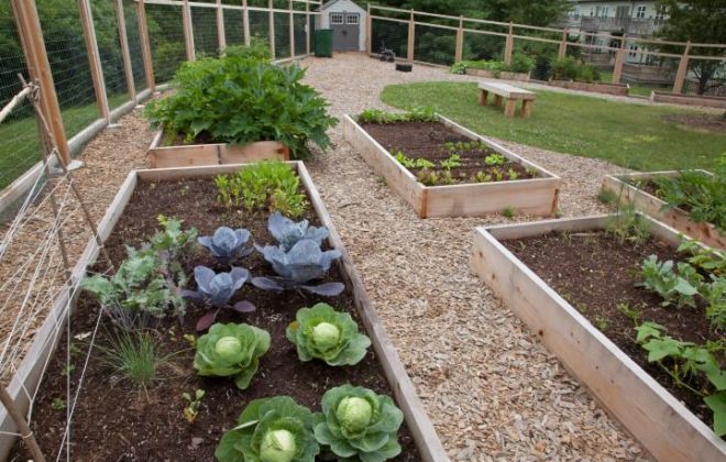 The Woods at Latimer Image 5