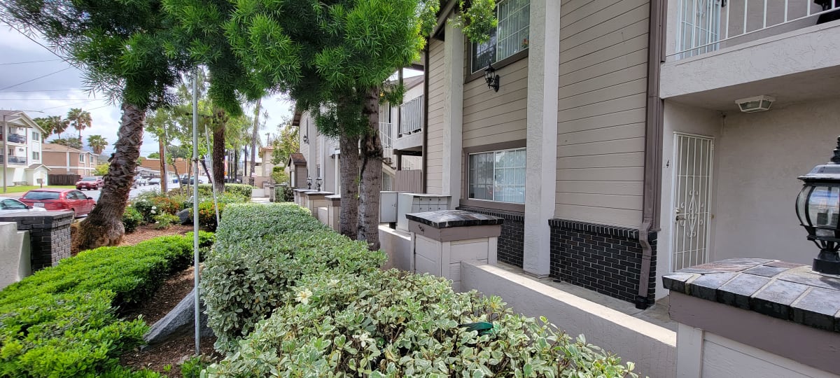 Lakeshore Terrace Image 4