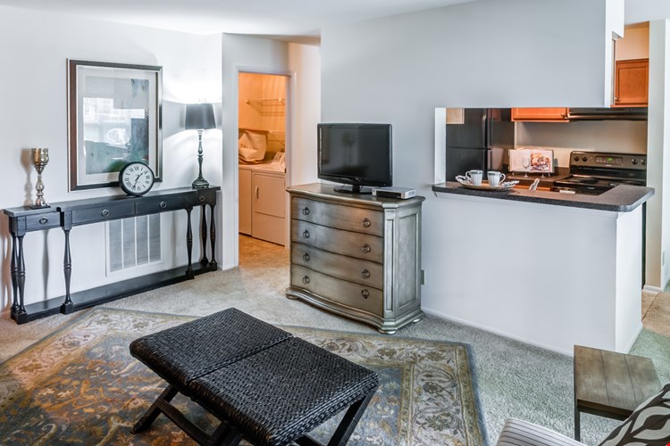 Treetops at Chester Hollow Image 22