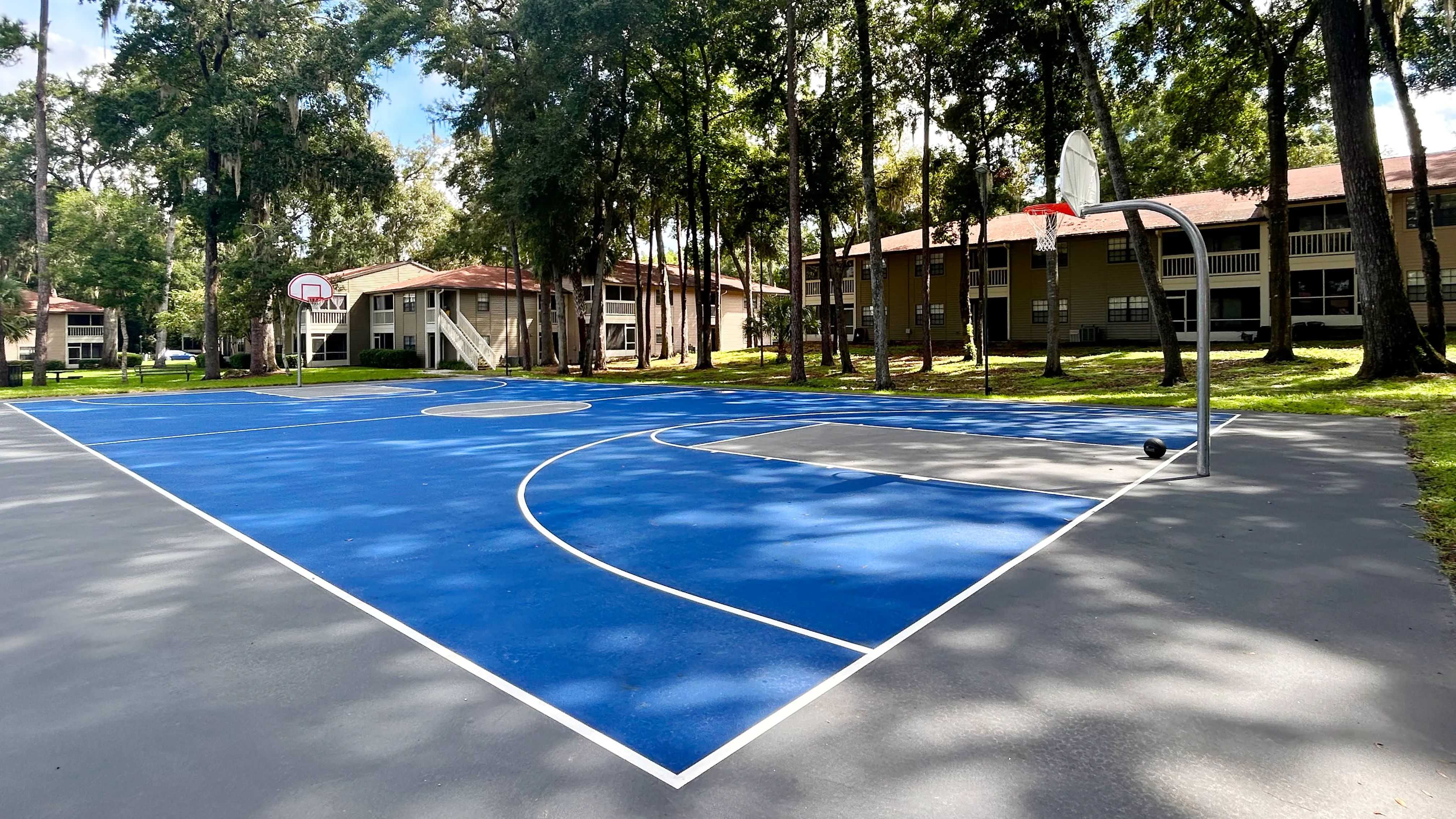 From friendly pickup games to solo practice sessions, the basketball court at Carrington Lane provides a convenient destination for outdoor recreation.
