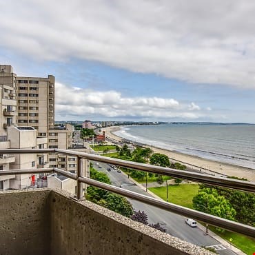 Water's Edge Towers Image 3