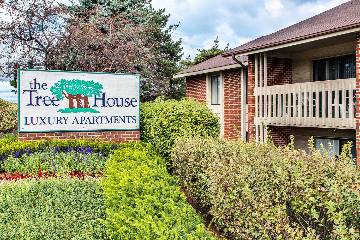 The Treehouse of Schaumburg Image 1