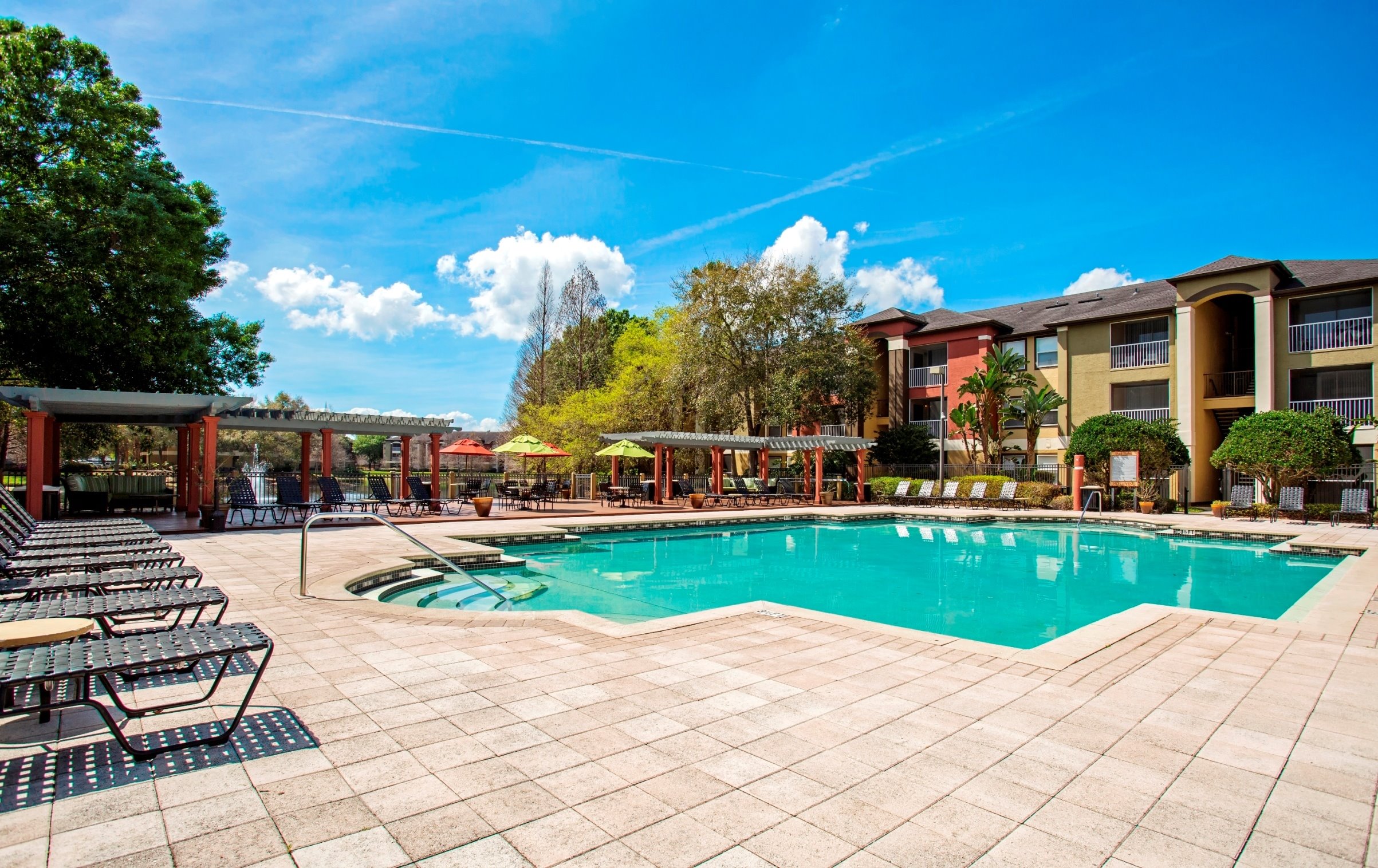 Sabal Palm at Carrollwood Image 1