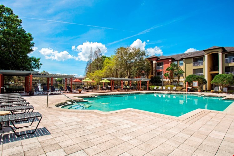 Sabal Palm at Carrollwood Image 1