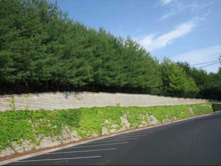 Grove at Deane Hill Image 18