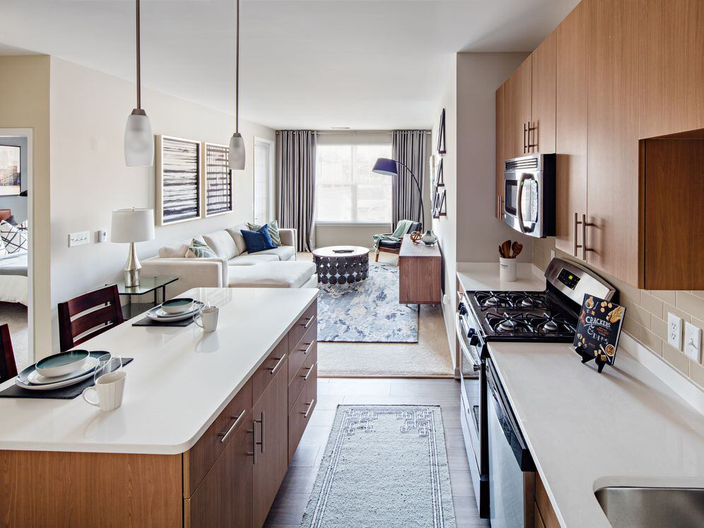 One Bedroom Kitchen Living