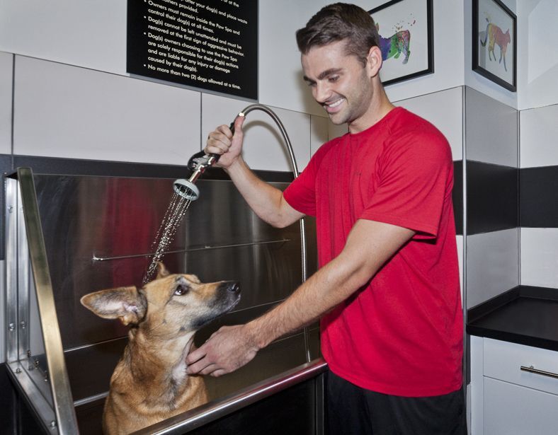 Camden Southline Image 23