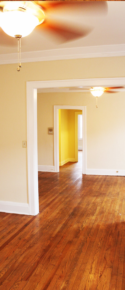 The Derbyshire Image 3