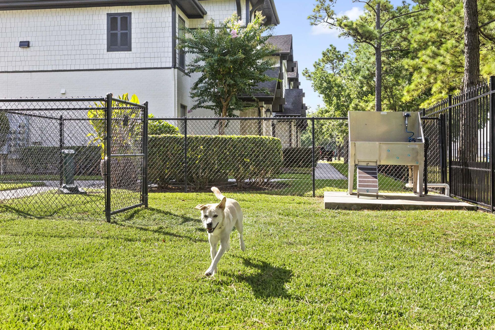 Camden Woodson Park Image 18