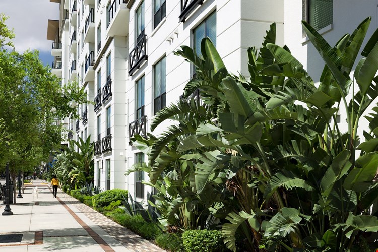 Camden North Quarter Image 26