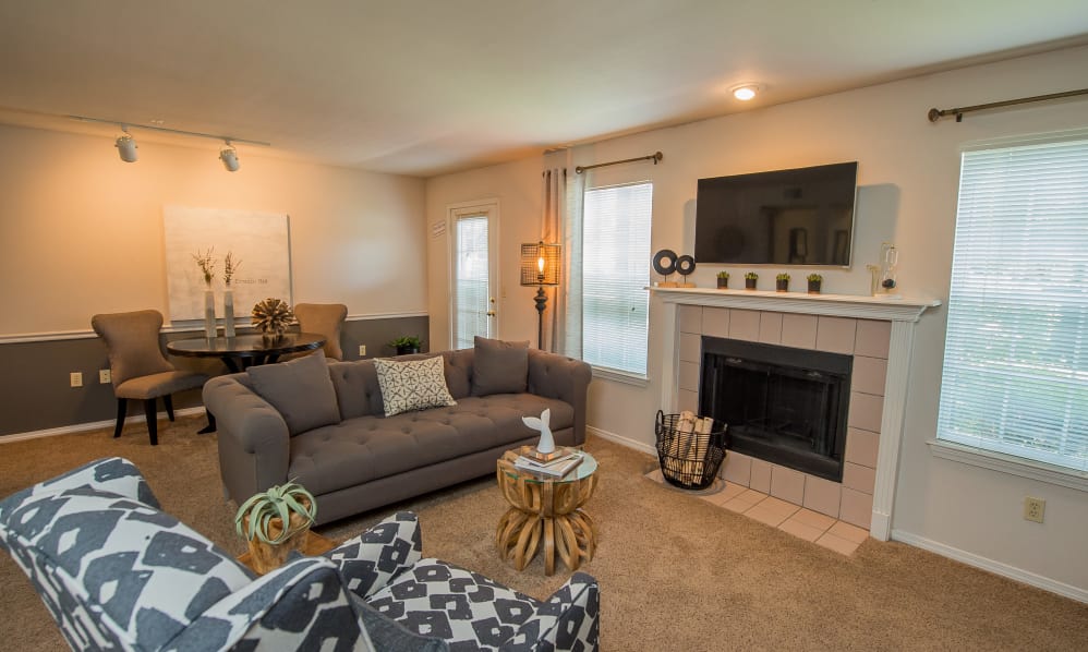 The Remington Image 6